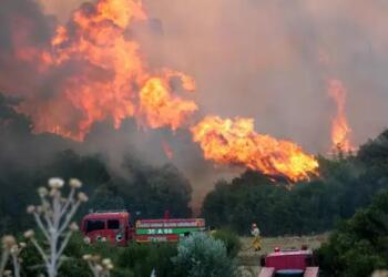 ‘Para’ için yanmasını seyretmişler