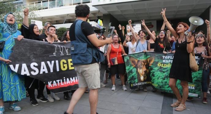 Gözaltına alınan hayvan hakları aktivistleri serbest