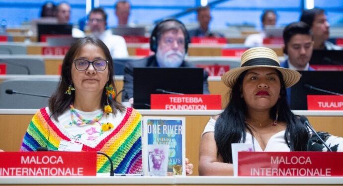 Maloca İnternationale’den BM’ye: Türkiye’nin saldırılarının insani etkileri ağır olmuştur