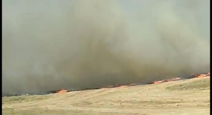 Panos’da yüzlerce dönüm ekili tarla kül oldu