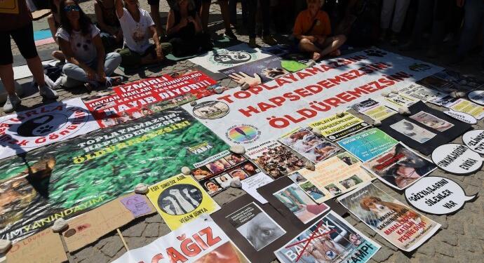 Sokak hayvanları için başlatılan nöbet sürüyor