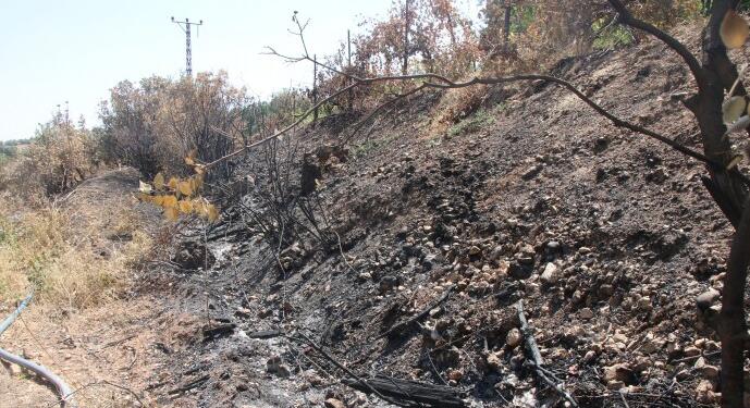 Bilêxşê’de ablukadan yanmış tarlalar, terk edilmiş evler kaldı