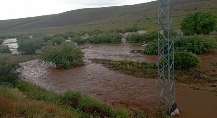Su seti patladı: Yüzlerce hayvan sel sularında kayboldu