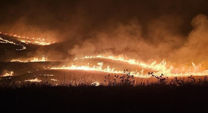 Yangınlar, baskı, göç, ırkçılık… Siz söyleyin, ne yapalım?