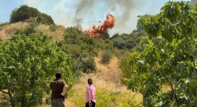 Manisa’da orman yangını