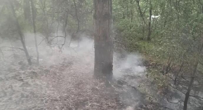 Milas’ta 2 bölgede orman yangını çıktı