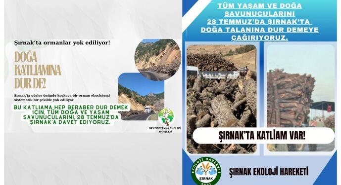 Ekolojistler 28 Temmuz’da Şirnex’te buluşacak