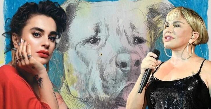 Aksu ve Ertem’den sokak hayvanları için şarkı