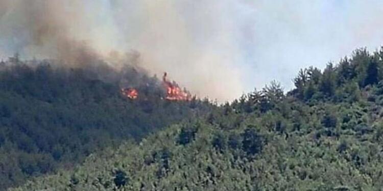 Hatay’da orman yangını