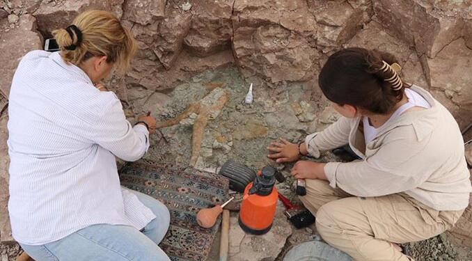 Gabon’da yeni keşif: Yaşamın tarihi yeniden yazılabilir