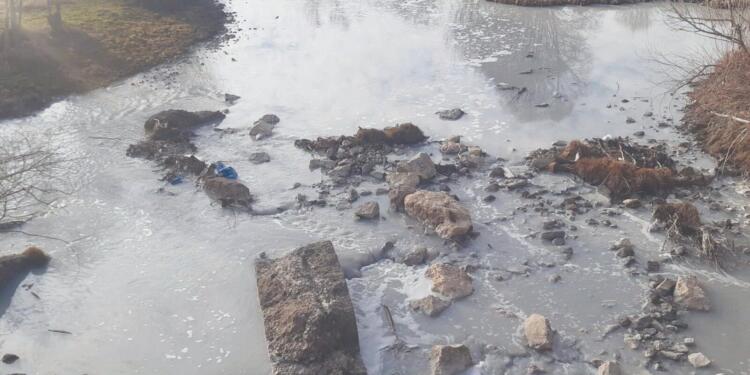 Gerede Çayı OSB’lerin atık alanı oldu