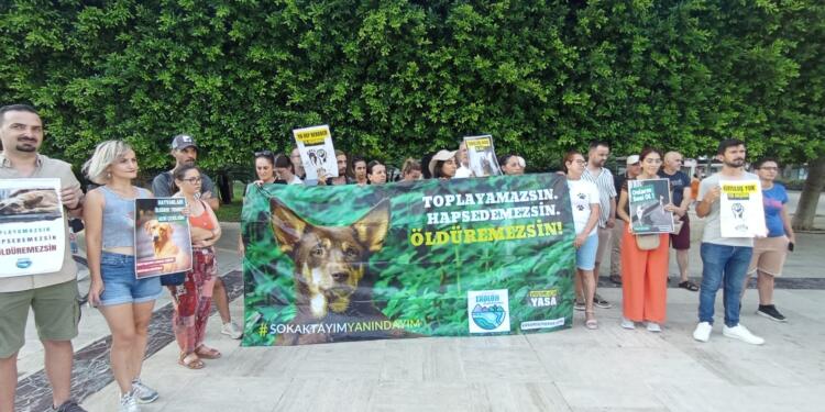 Katliam yasası protesto edildi