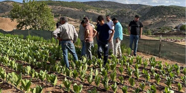 DEM Parti Semsûr’da tütüncüleri ziyaret etti