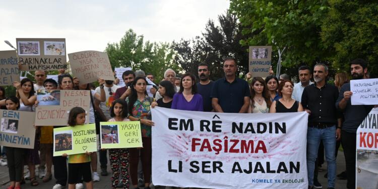 Hayvanları öldürme yasasına tepki: Aklınızdan bile geçirmeyin!