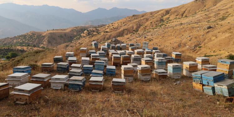 Pasur’da maden tepkisi: Topraklarımıza sahip çıkacağız