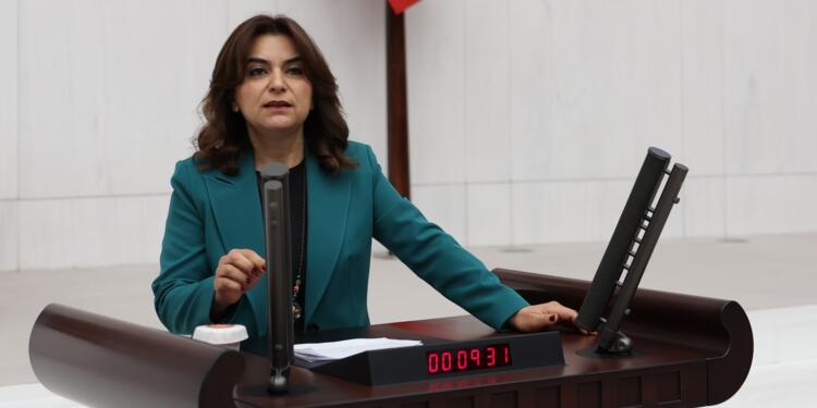 ‘Türk ışını’ vakasında Soylu detayı