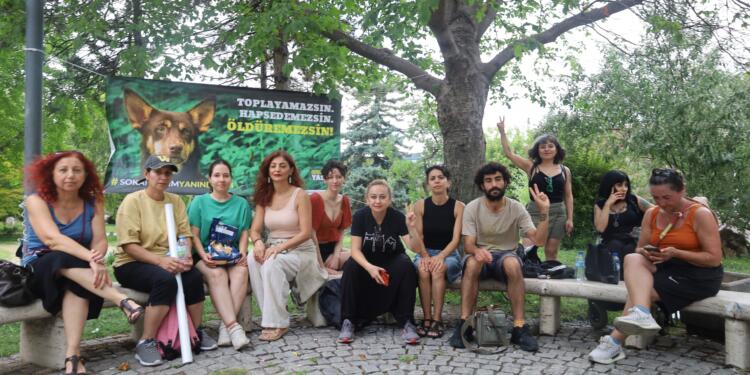 Hayvanlar için Meclis Parkı’nda oturma eylemi başlatıldı