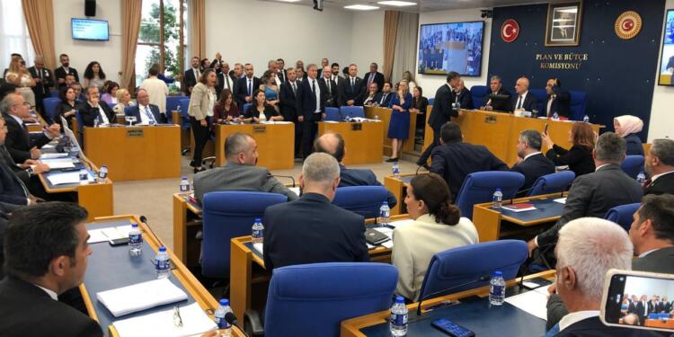 AKP’den hayvanları ‘öldürme’ yasasında ‘ötenazi’ oyunu