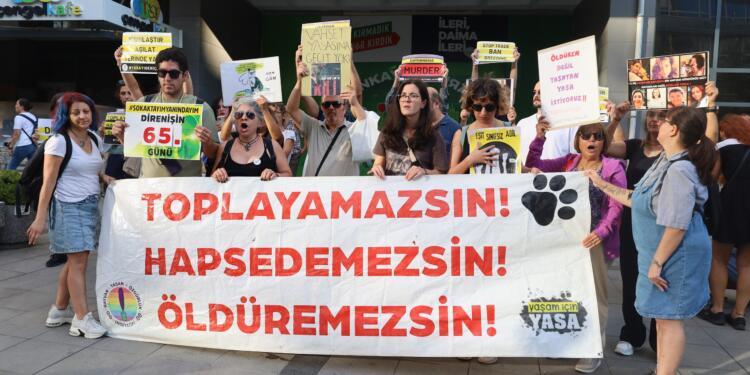 Hayvan hakları aktivistlerinden vekillere çağrı: Hayır oyu kullanın