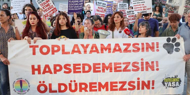 ‘Toplayamazsın, hapsedemezsin, öldüremezsin’