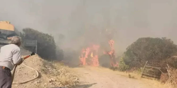Çanakkale ve İzmir’de orman yangını