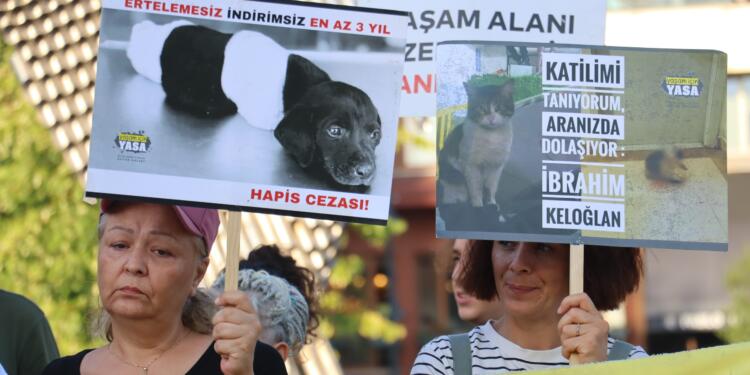Yaşam İçin Yasa İnisiyatifi: Katliama ve tecride geçit vermiyoruz
