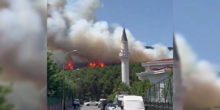 Aydos Ormanları’nda yangın