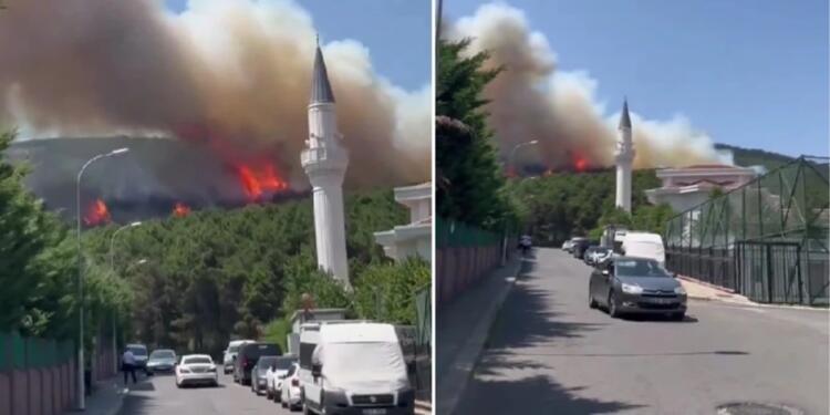 Aydos Ormanı’ndaki yangın kontrol altına alındı