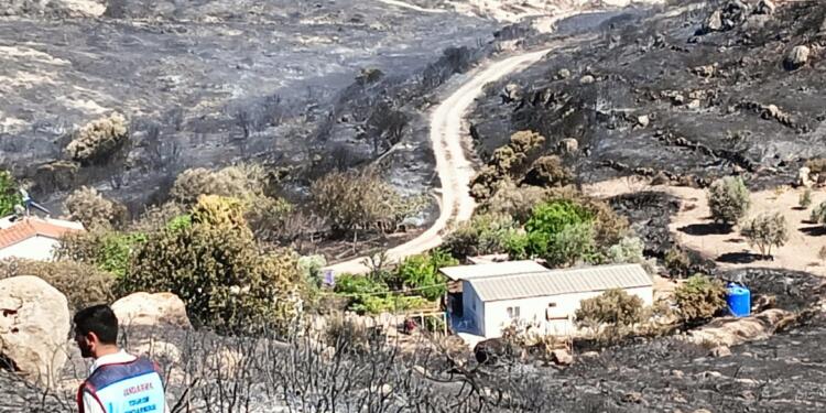 İzmir’de orman yangını: 3 kişi yaşamını yitirdi