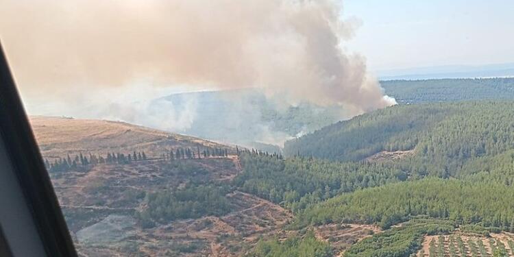 Ege’de 3 bölgede orman yangını: Alaçatı’da 3 kişi öldü