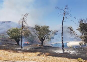 Ege’de üç ayrı yangın: Müdahaleler sürüyor
