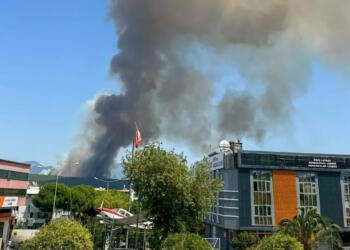 İzmir’in 2 ilçesinde orman yangını