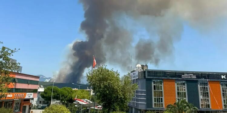 İzmir’in 2 ilçesinde orman yangını