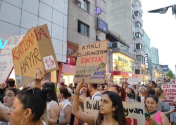 Hayvan hakları savunucuları: Tecrit ve katliama hayır oyu kullanmanızı bekliyoruz