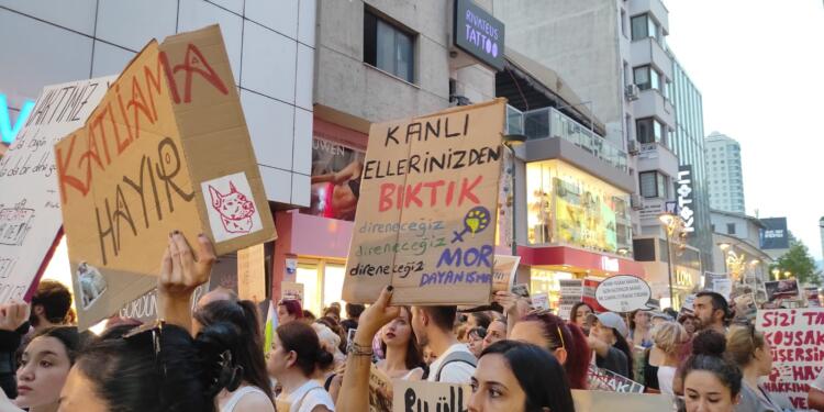 Hayvan hakları savunucuları: Tecrit ve katliama hayır oyu kullanmanızı bekliyoruz