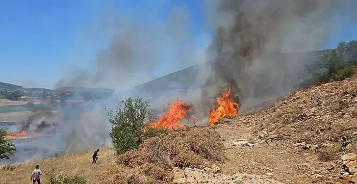 Muğla ve Mersin’de orman yangını