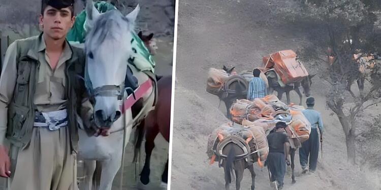 Serdeşt’te 1 kolber katledildi