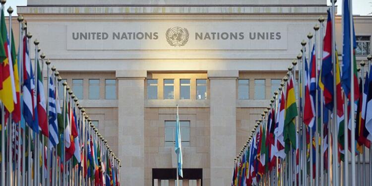 Türkiye’den BM’ye yanıt: İmralı’da tecrit yokmuş, yasak varmış!