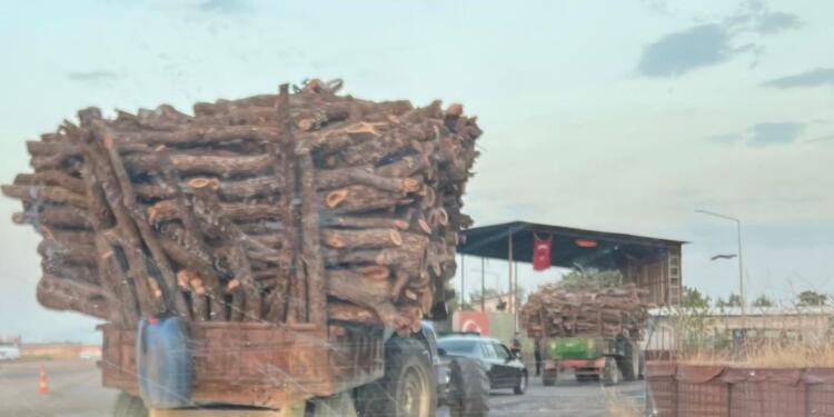Hesena ve Navyan’da ekolojik kıyım yeniden başladı