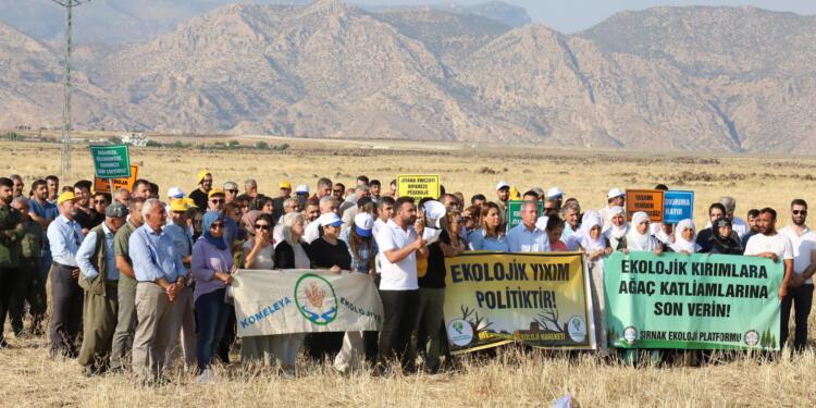 Doğa talanına karşı Gabar Dağı eteklerinden seslendiler