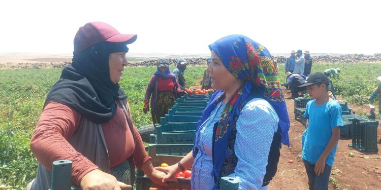 Cûrne Rêş Belediyesinden kadın işçilere ziyaret