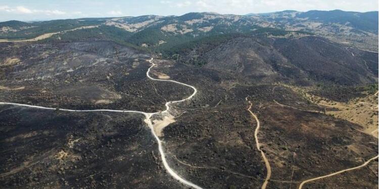 Ankara-Bolu yangınında sorumlu BEDAŞ!