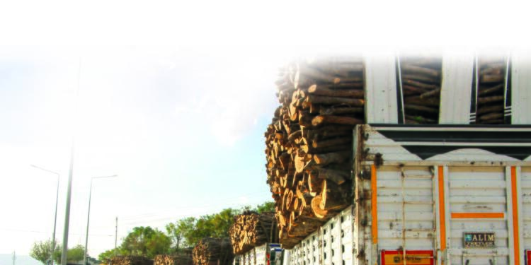 Kıyım sömürgeci anlayışla sürüyor