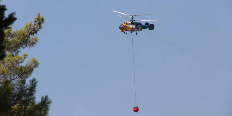 Hatay’da orman yangını