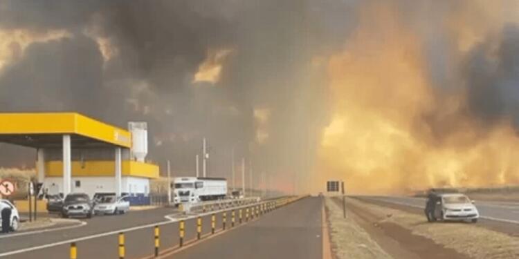 Brezilya’da yangınlar OHAL ilan ettirdi