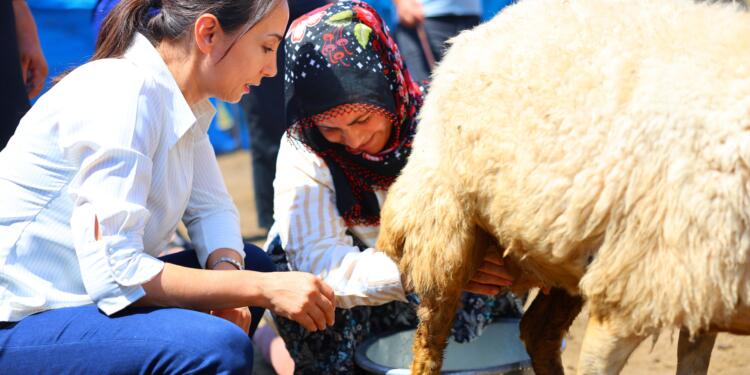 Hatimoğulları: İktidarın politikaları tarım ve hayvancılığı bitirme noktasına getirdi