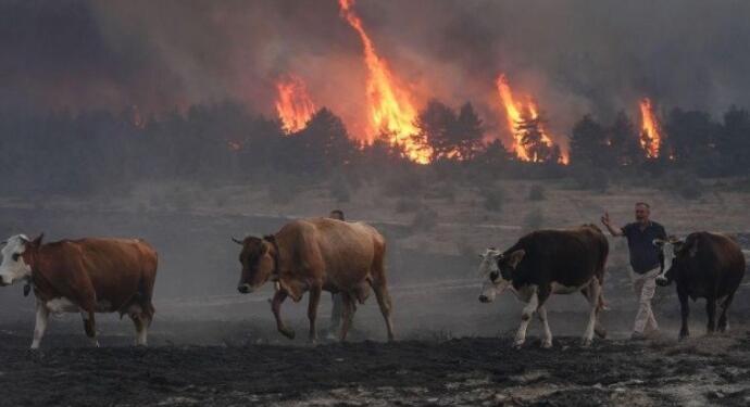 Ankara’dan Bolu’ya yayılan yangın kontrol altına alındı