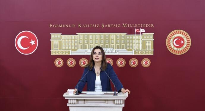 Koçyiğit: Türkiye gazetecilere saldırarak ‘savaş suçu’ işledi