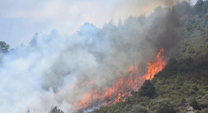 Afyon’da yangın: 3 hektarlık alan kül oldu