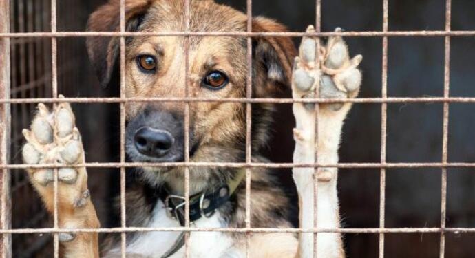 130 aydın: Yasayı geri çekin